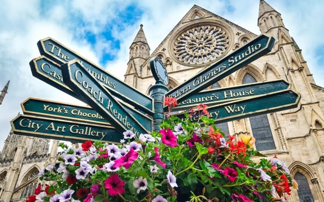 Decisions, decisions, decisions…