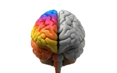 Half a Brain in Hiding