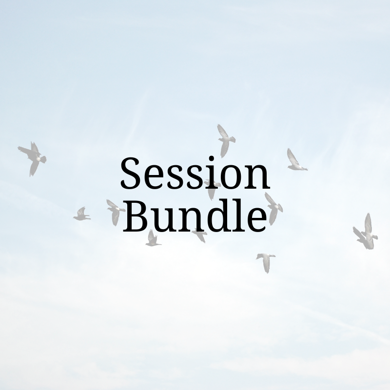 Session Bundle! - Flight; An Automatic Stress Response