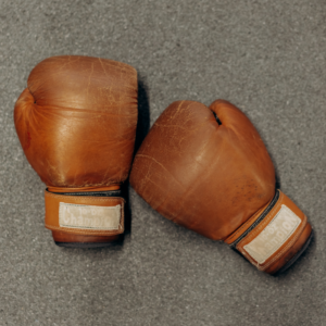 Session 1 of 2 - Fight; An Automatic Stress Response